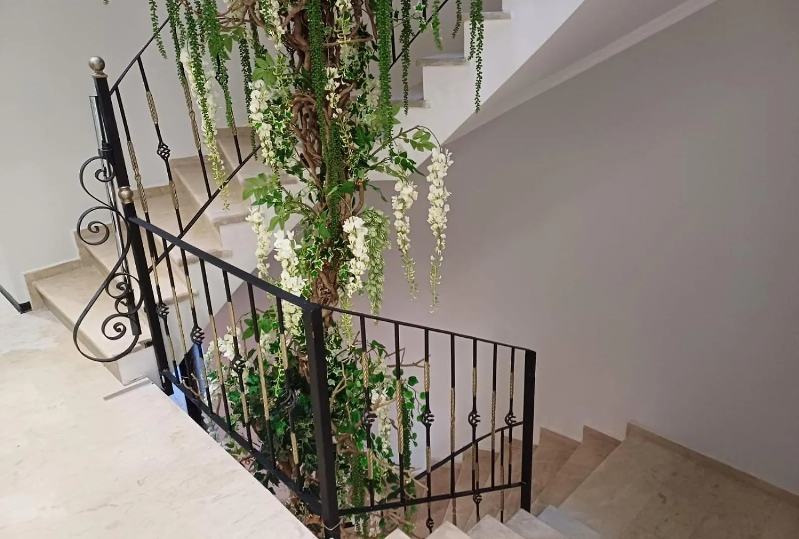 Oxygen Boutique Hotel Tirana